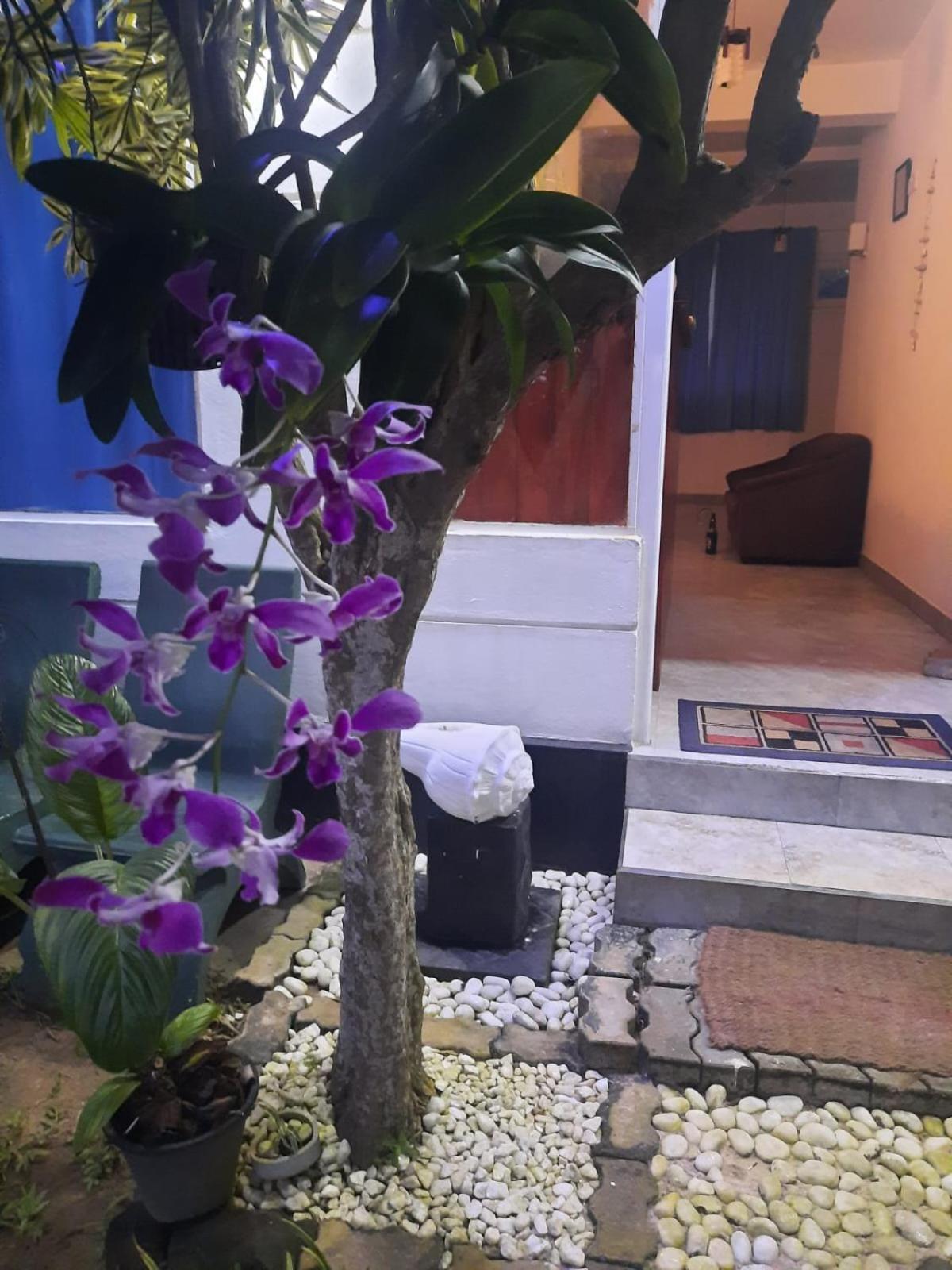 White Surfing Beach Resort Unawatuna Ngoại thất bức ảnh