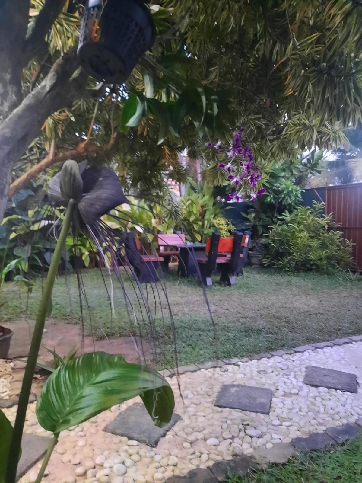 White Surfing Beach Resort Unawatuna Ngoại thất bức ảnh